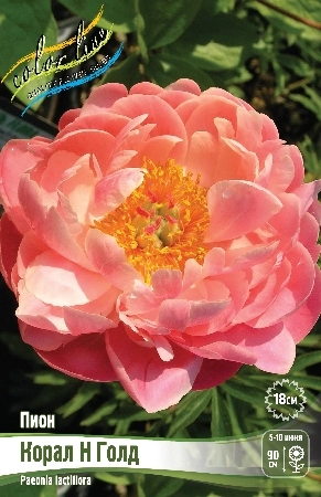 2sx85238z41mp7tx3mc2g599zebn8psv