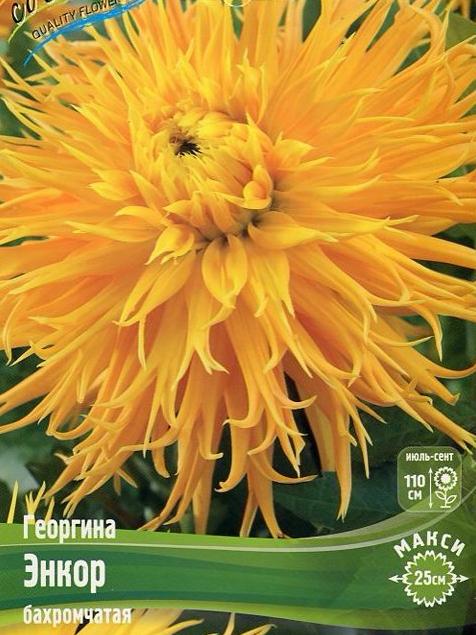 8ad7b80d00b1ec996c6e88af54cafc2b