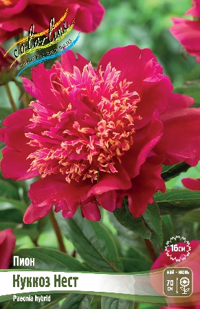 9b7atbww8f6uyyxk81nyslok4tzgiq7s