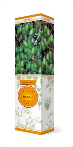 Актинидия аргута Иссей