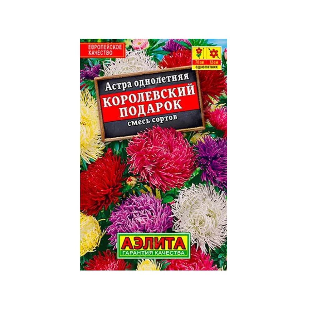 Астра Смесь Королевский подарок (Аэлита) Лидер