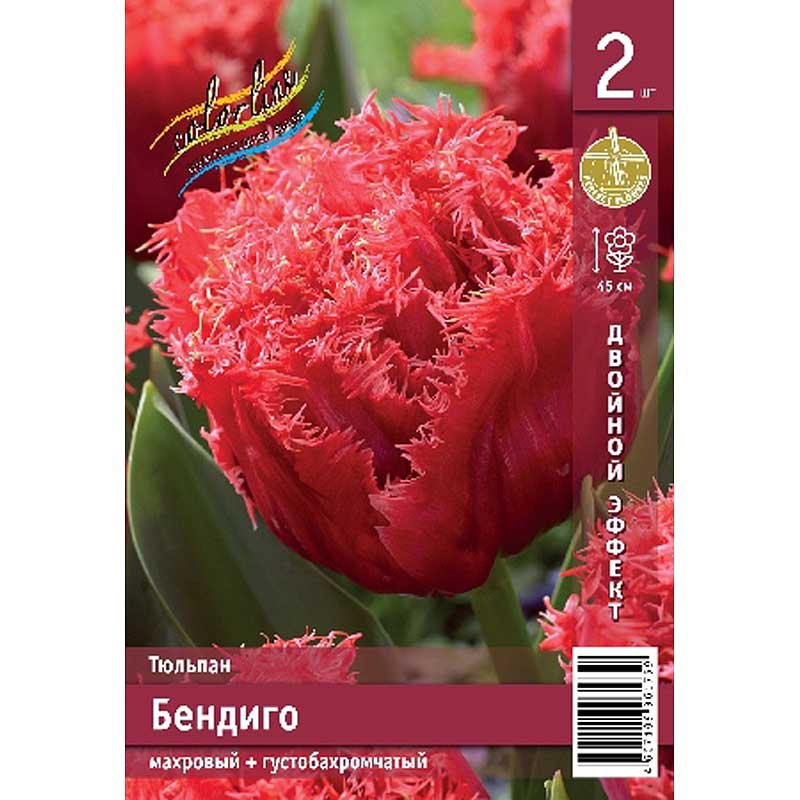 Бендиго