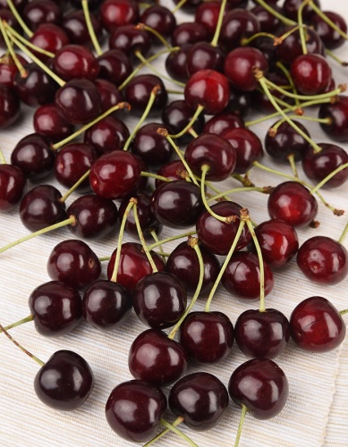 Черешня ревня