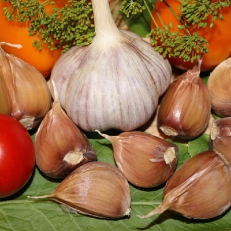 Чеснок озимый Богатырь 50-60 (Россия) 10