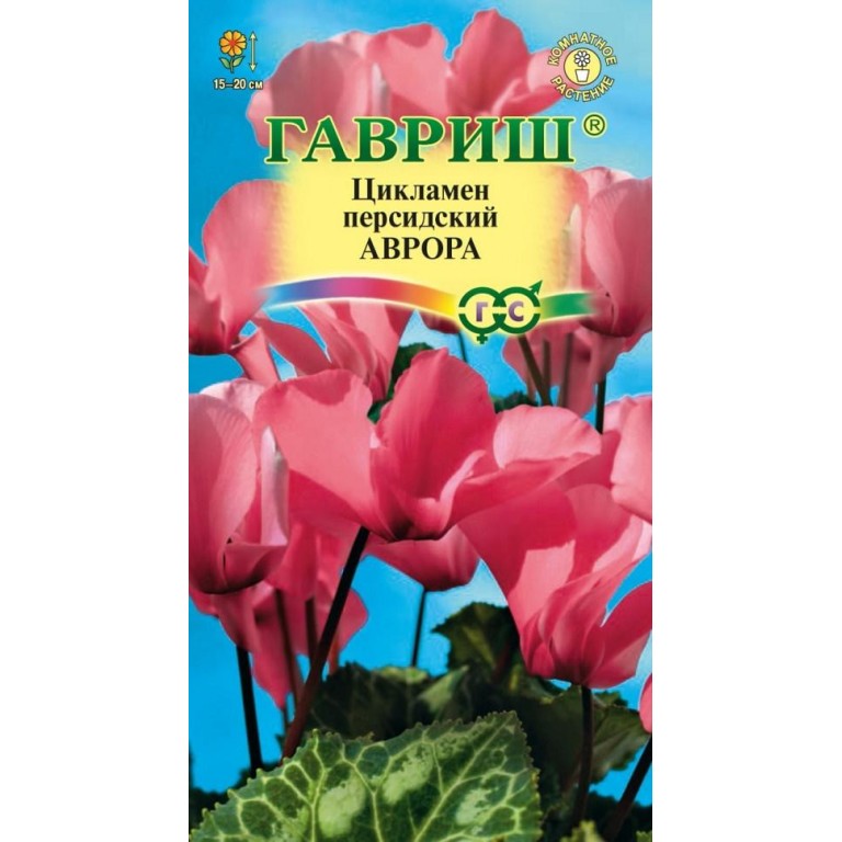 Купить Семена Цикламена Недорого