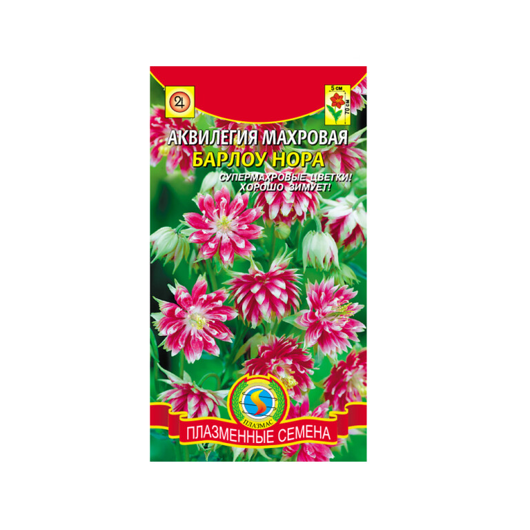 Цв.Аквилегия Барлоу Нора (мн) (Плазма)