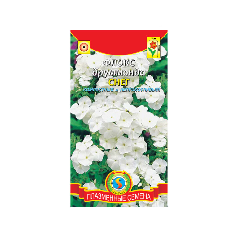 Цв.Флокс Снег (Плазма)