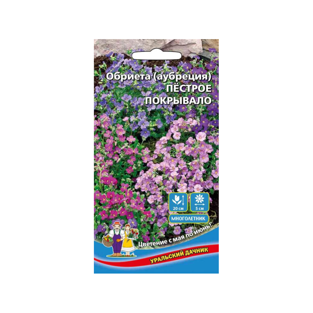 Цв Обриета Пестрое Покрывало (УД)