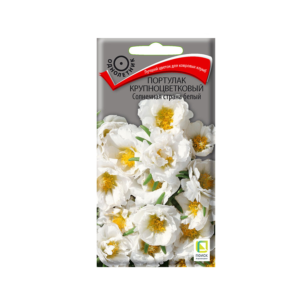Цв Портулак Солнечная страна белый (Поиск) 0 1г