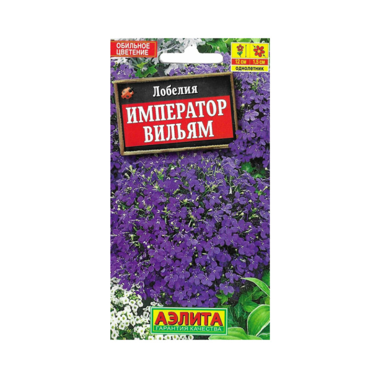 Цв.Лобелия Император Вильям (Аэлита)