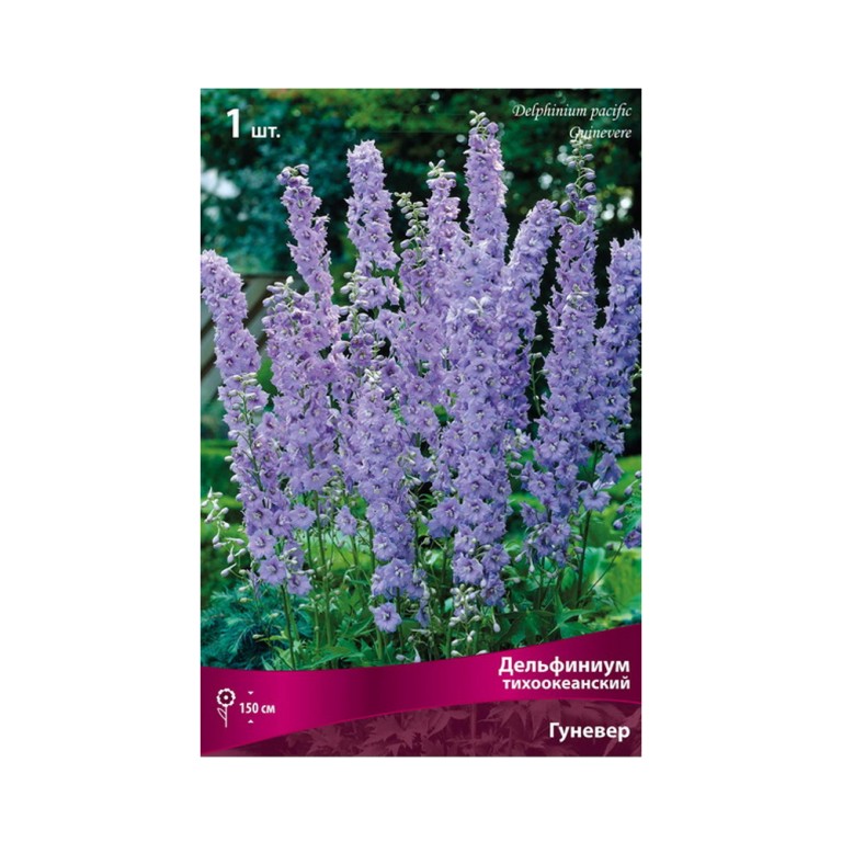 Дельфиниум Гуневер (Поиск)