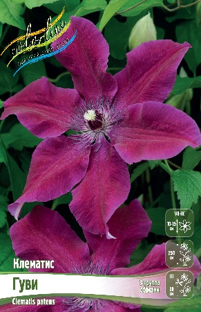 dmvs1yov1le0dmz52iy50gjbprucjwsg