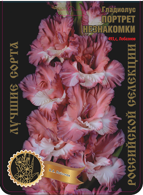 dnzegvvovm8namln3il5g03q59ae5dle