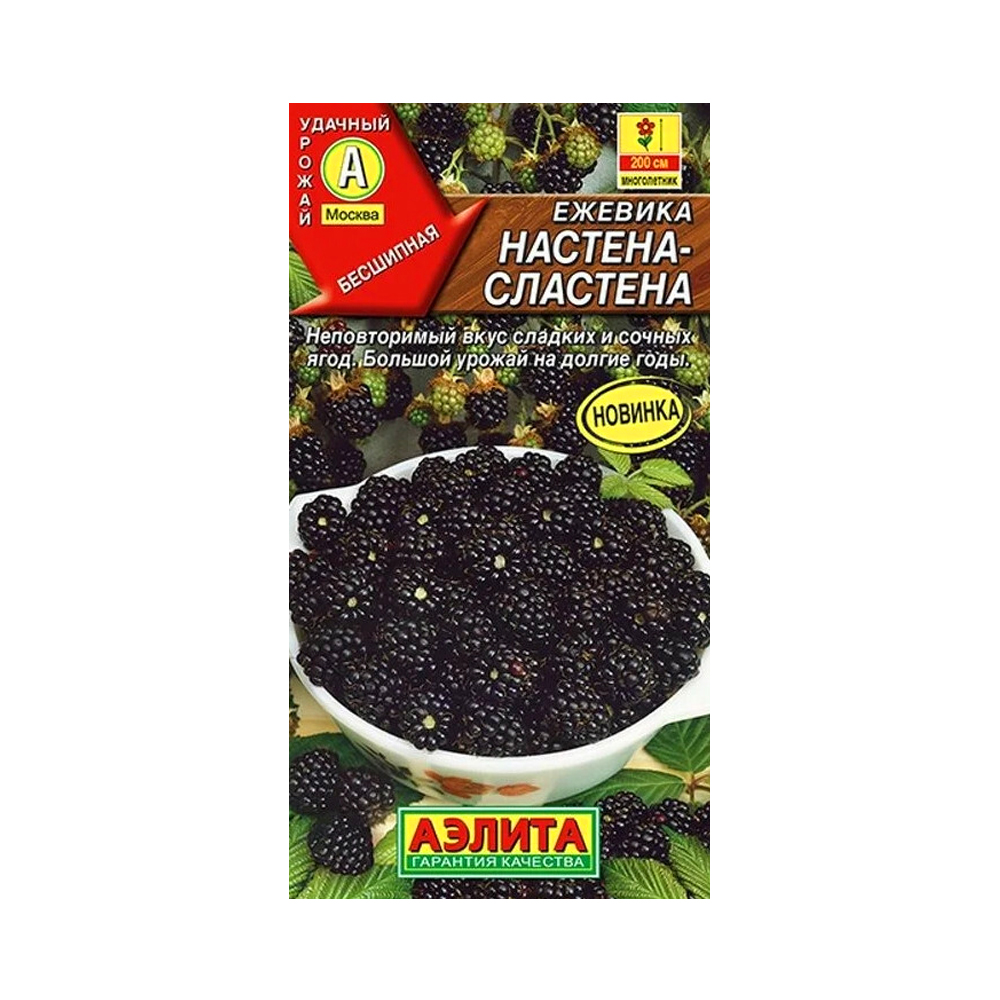 Ежевика Настена -сластена (Аэлита)