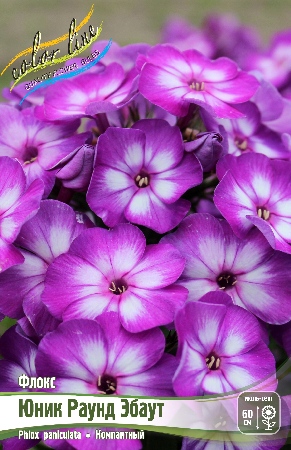 Флок юник раунд эбаут