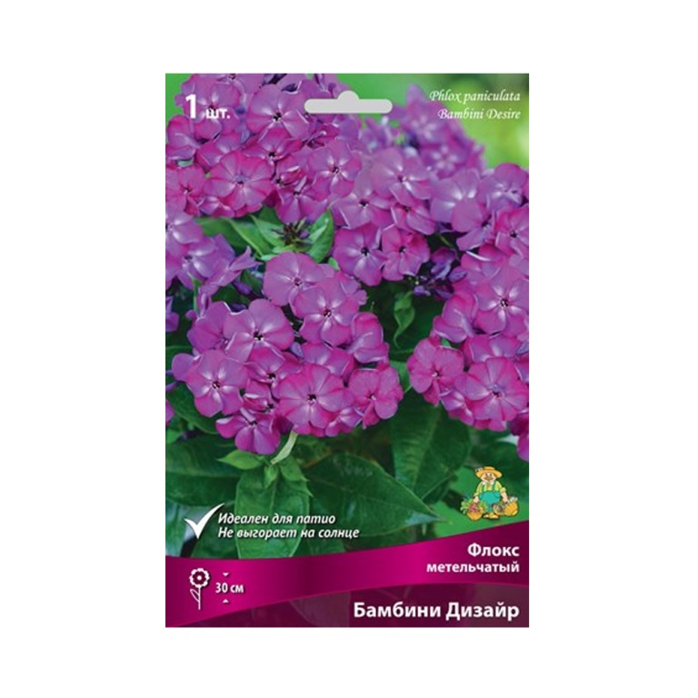 Флокс Бамбини Дизайр (Поиск)