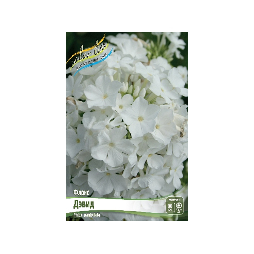 Флокс Дэвид (ИС) 2
