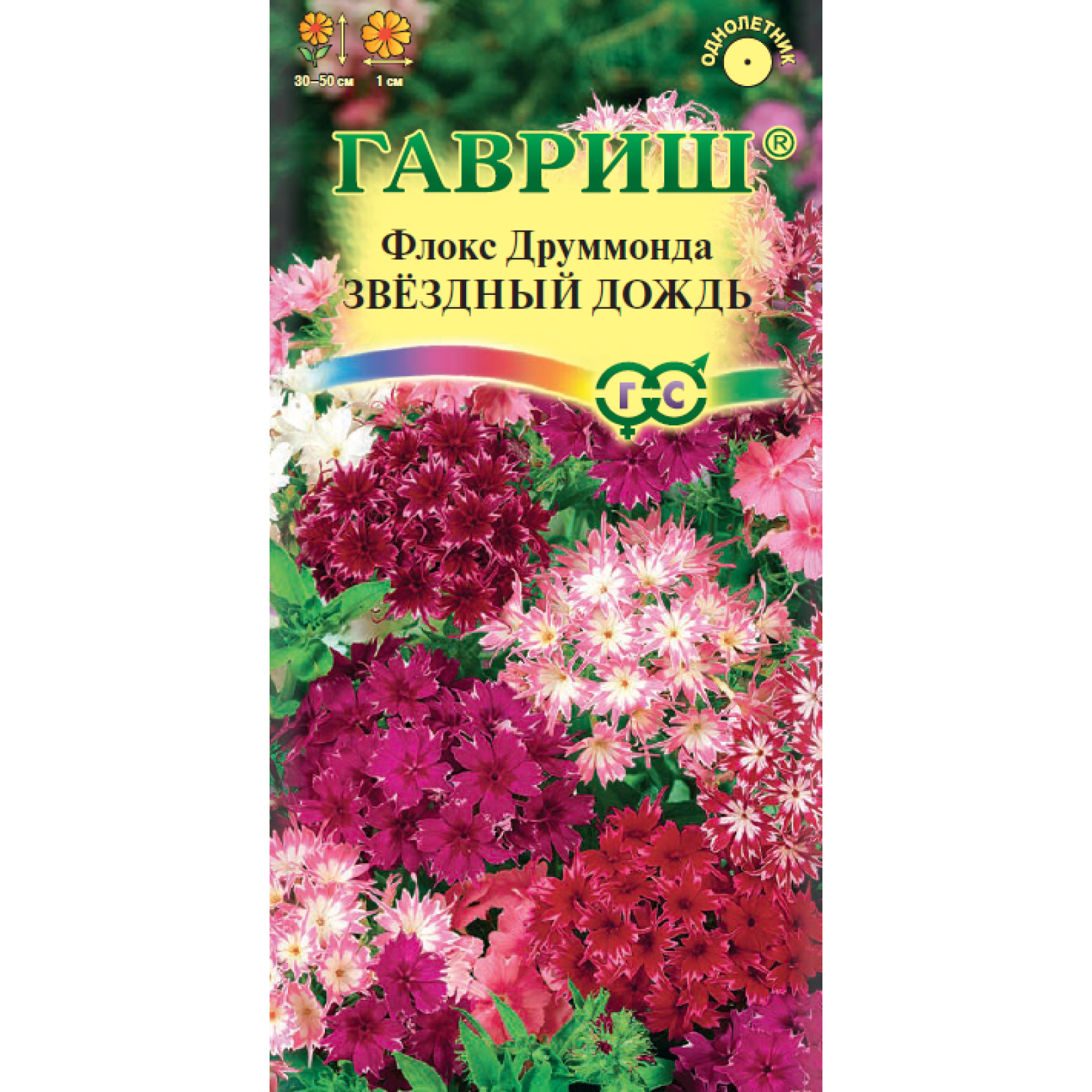 Флоксы Однолетние Купить Семена