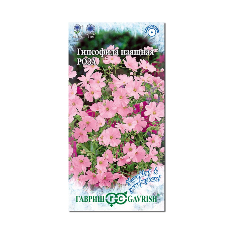 Цв.Гипсофила Роза (Гавриш) изящная