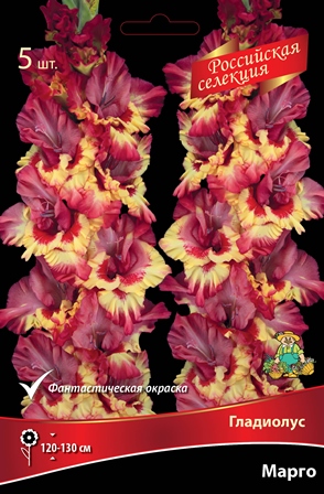 Гладиолус Марго