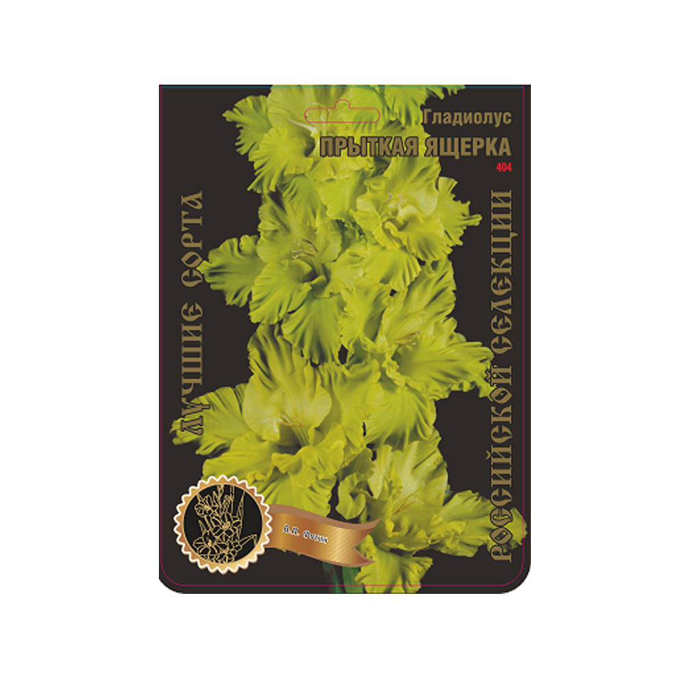 Гладиолус Прыткая ящерка (Сиб сад)