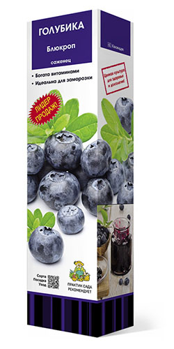 Голубика высокорослая Блюкроп