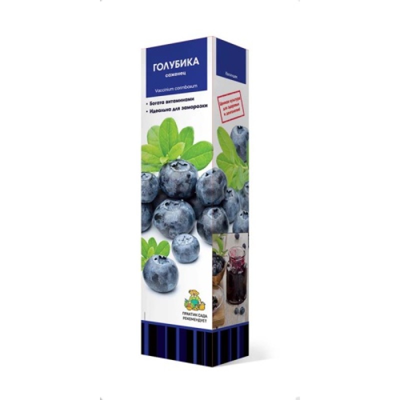 Голубика Дюк (Поиск)