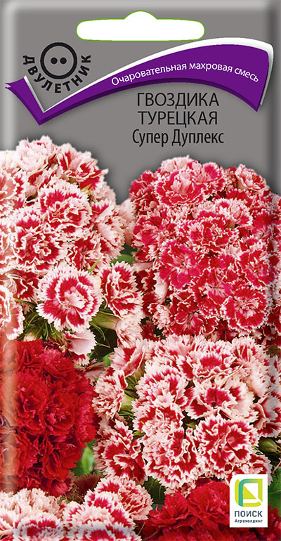 Гвоздика турецкая СУПЕР ДУПЛЕКС-silv