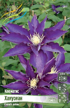 ХАКУОКАН36065475439c3d7d