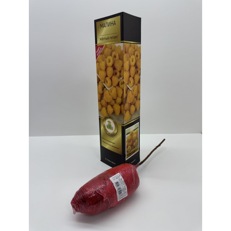 Малина Желтый гигант (Поиск) среднеранний,крупный
