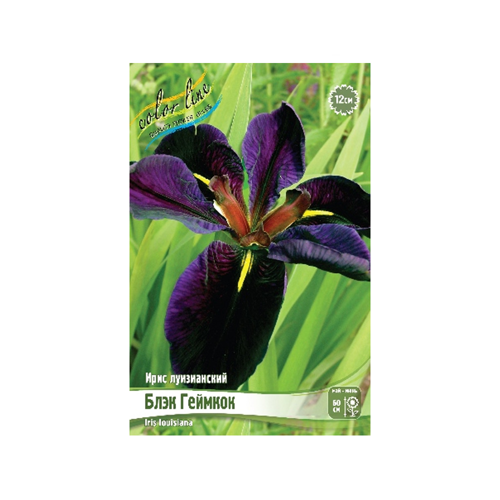 Ирис Блэк Геймкок (ИС)