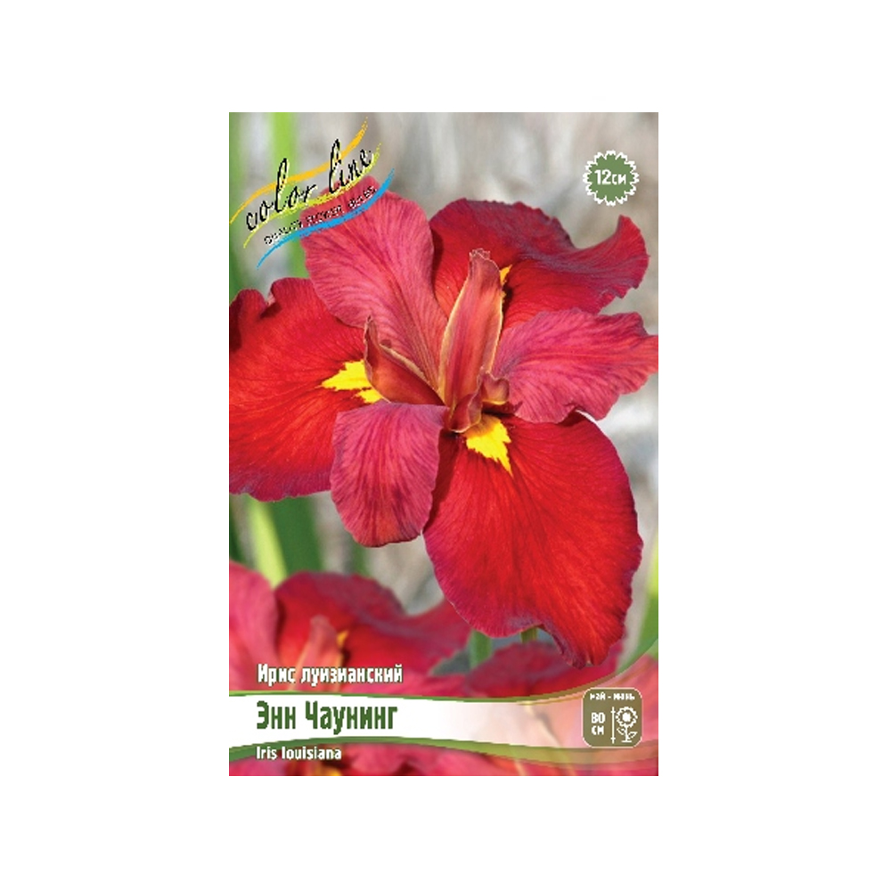 Ирис Энн Чаунинг (ИС)