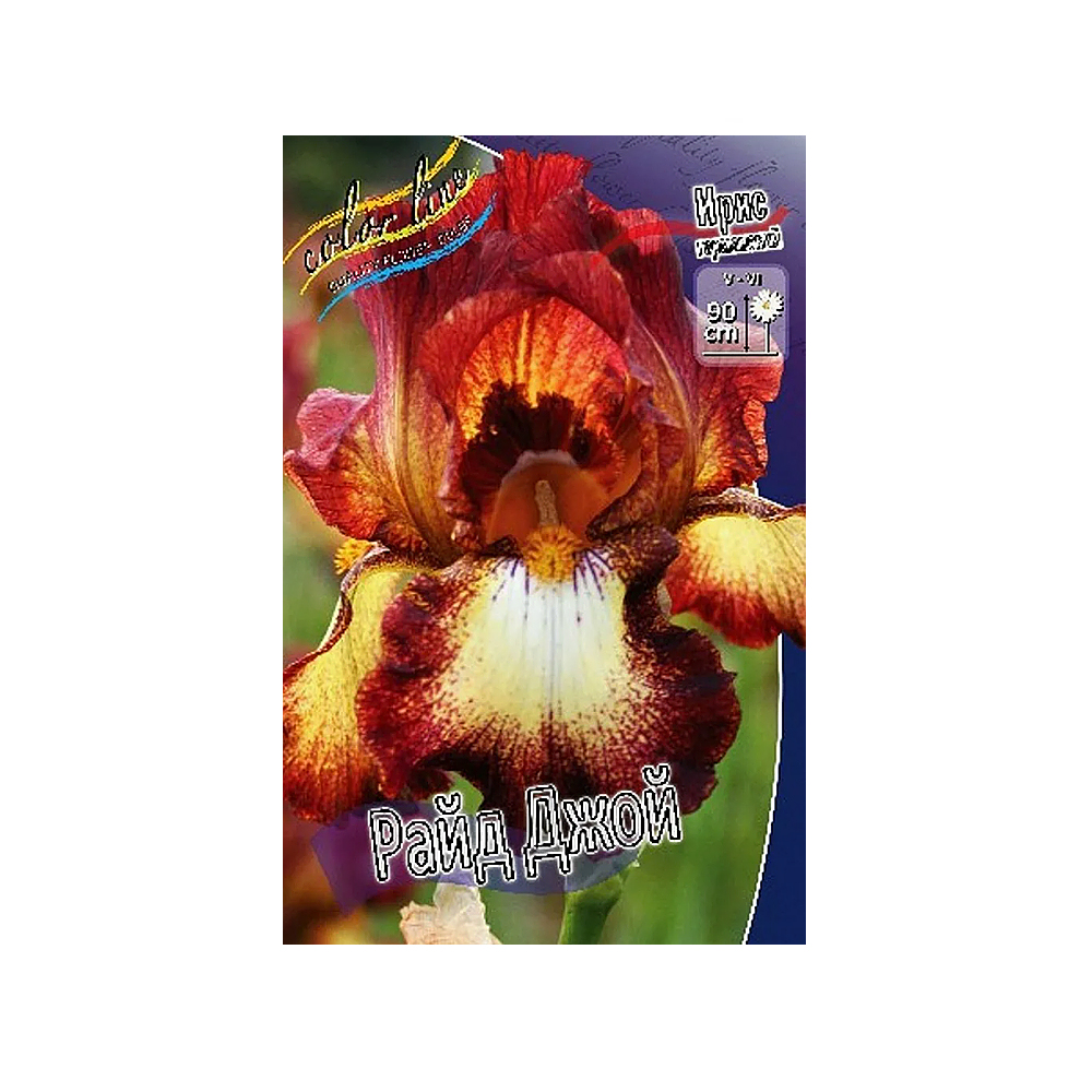 Ирис Райд Джой (ИС) Германский