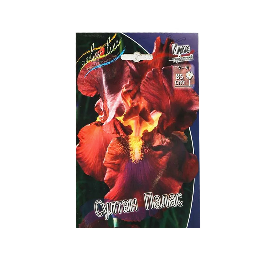 Ирис Султан Палас (ИС) Германский