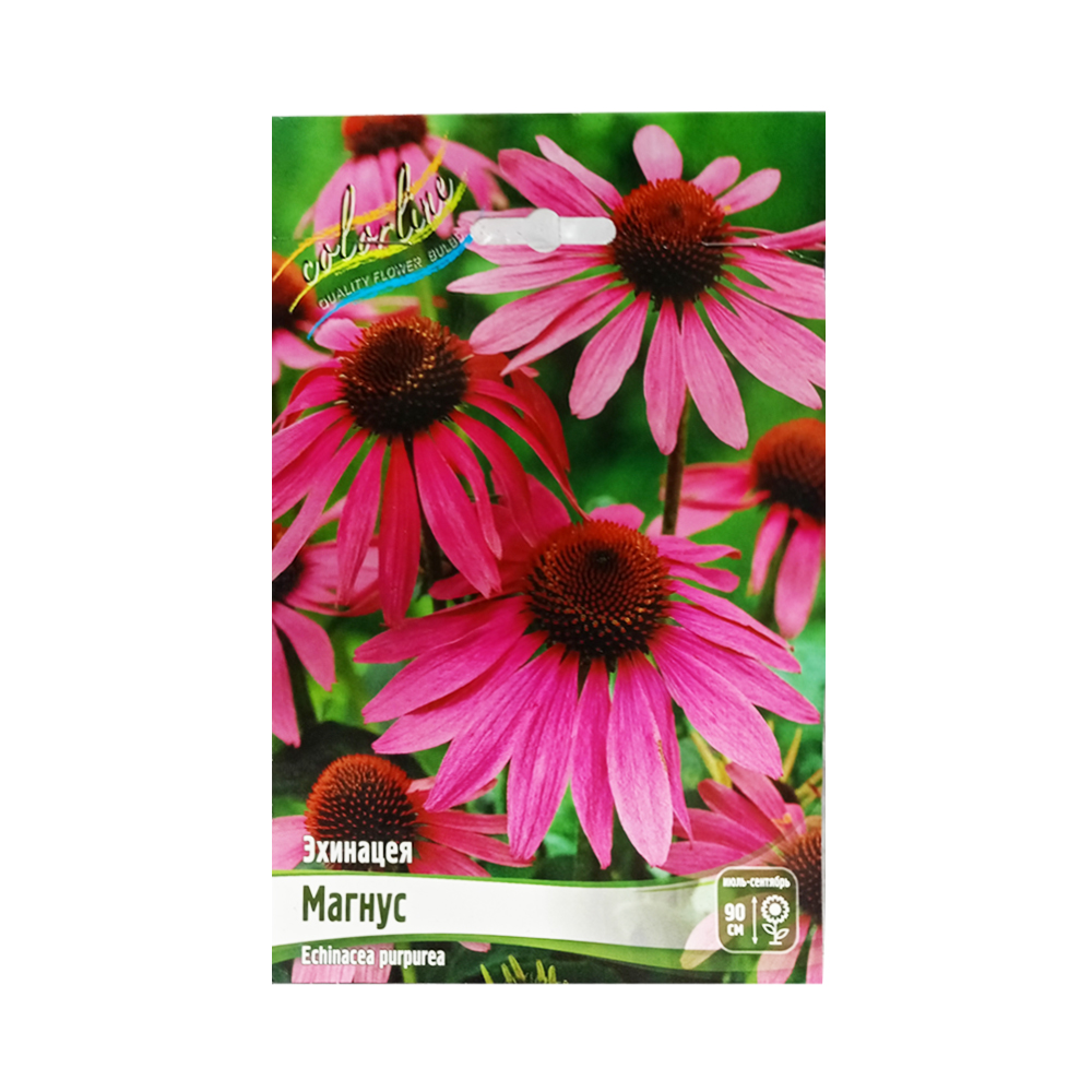Эхинацея Магнус (ИС)