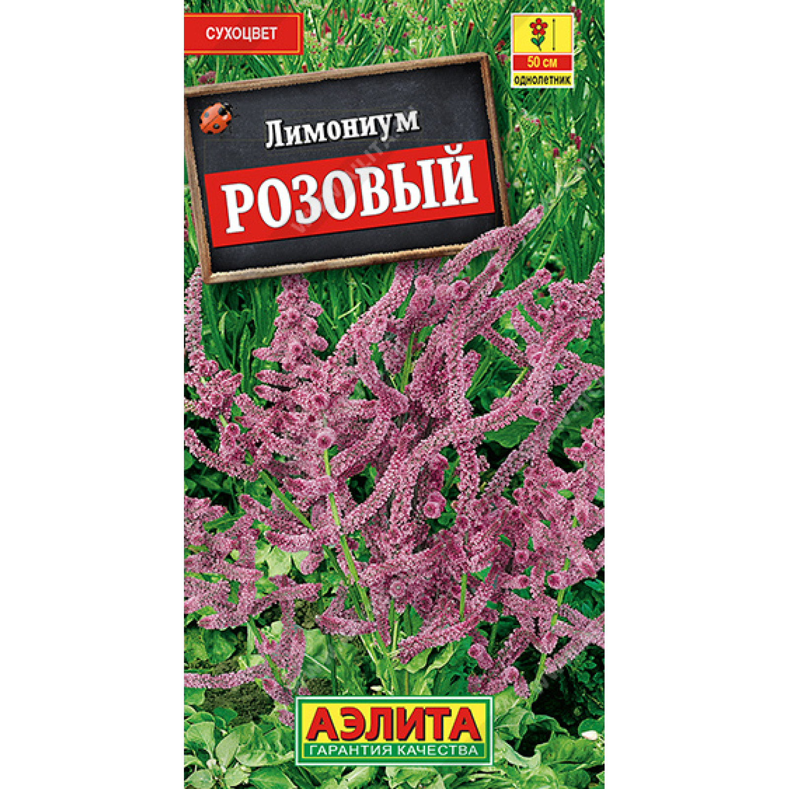 Семена Кермека Многолетнего Купить В Москве