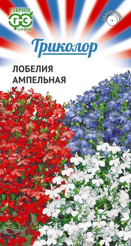 Лобелия - Триколор (гавриш)