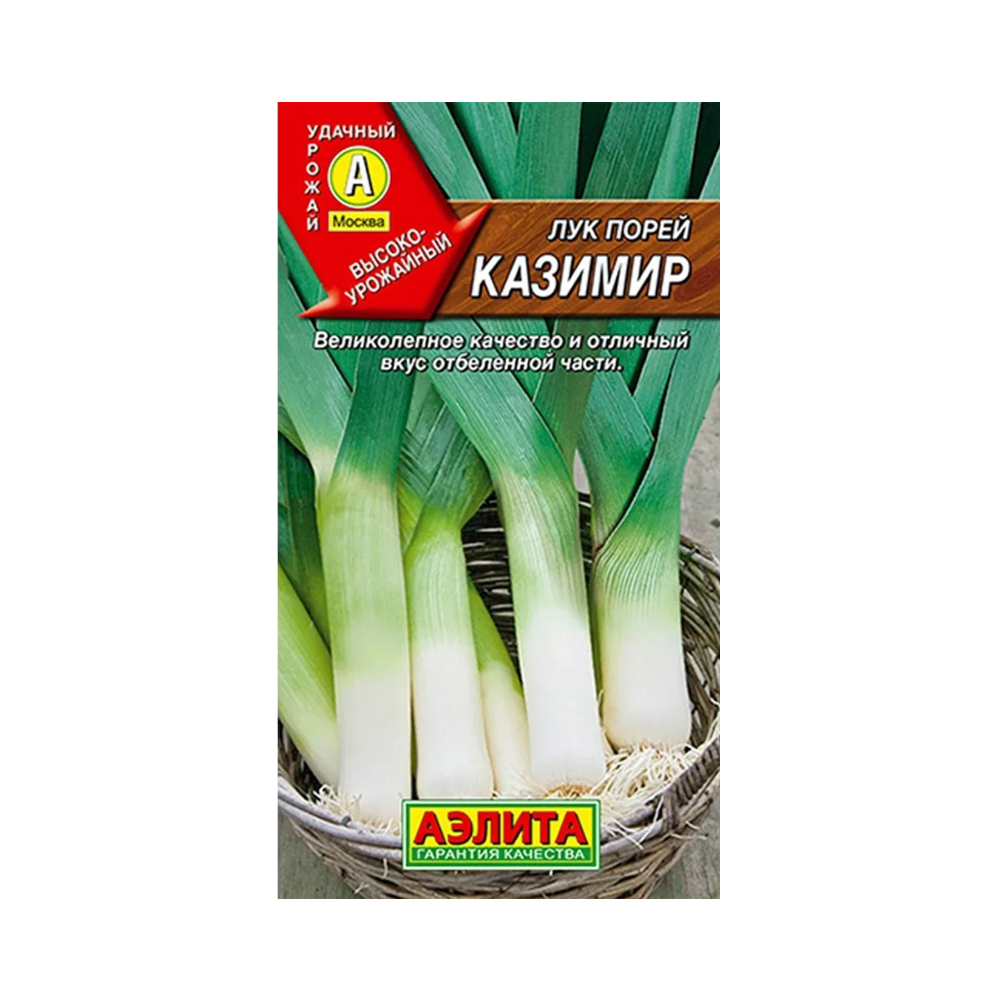 Лук Порей Казимир (Аэлита)