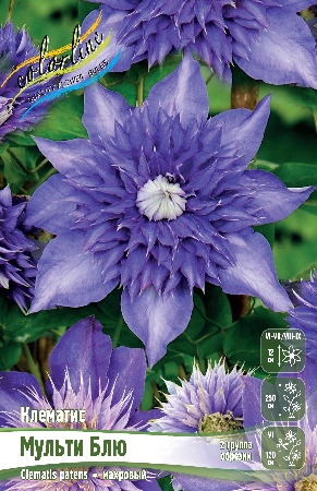 МУЛЬТИ БЛЮ2ed65475407d46f8