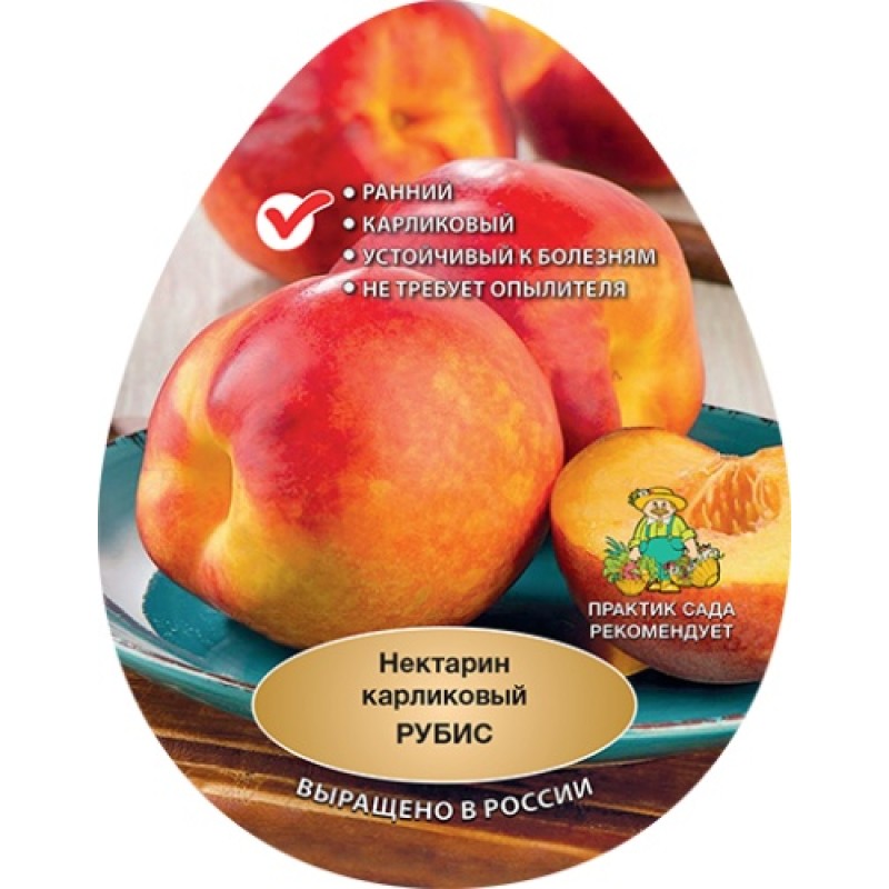 Нектарин Рубис (Поиск) этикетка карлик.