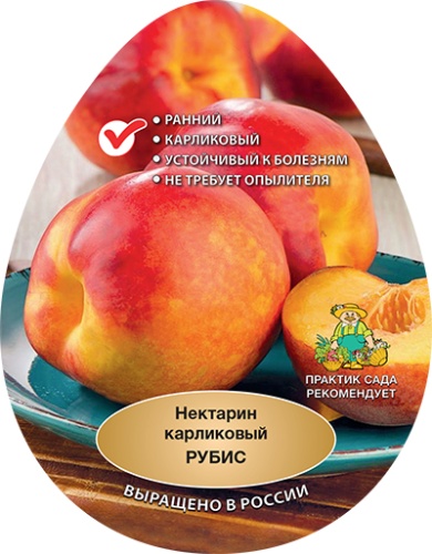 Нектарин рубус