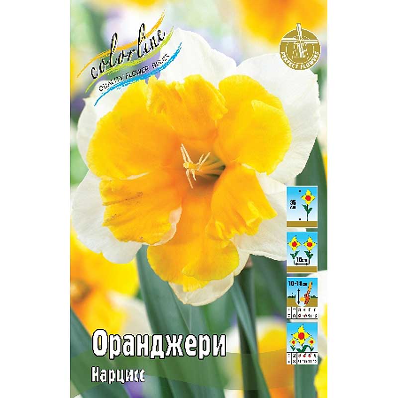 Оранджери