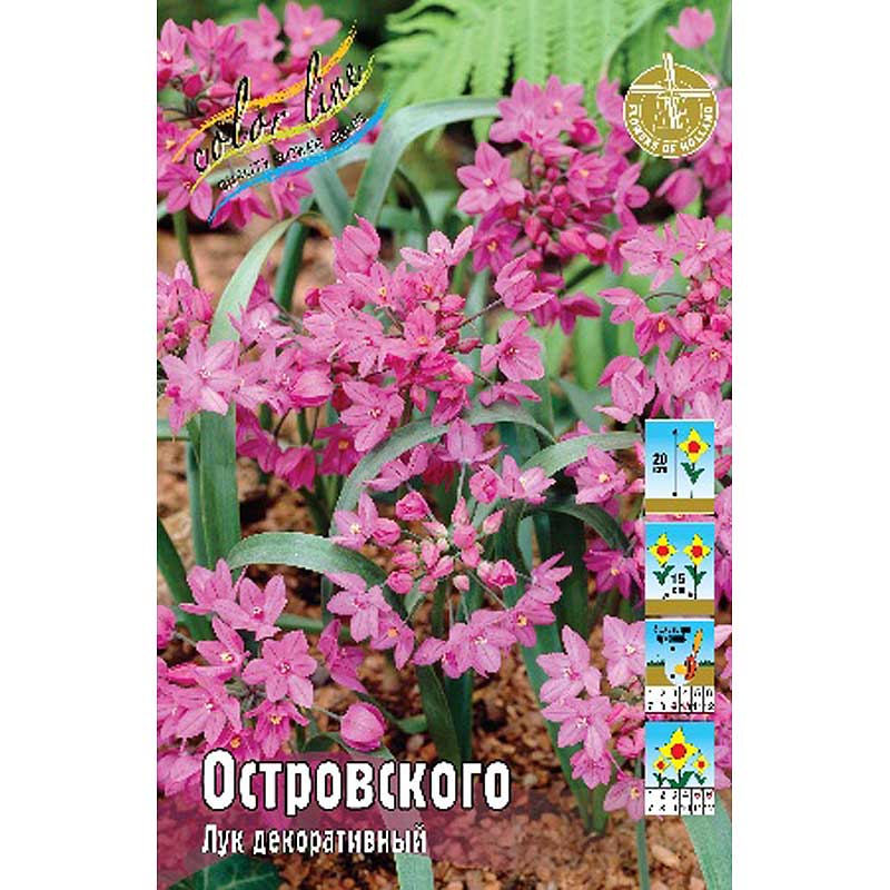 Осторовского