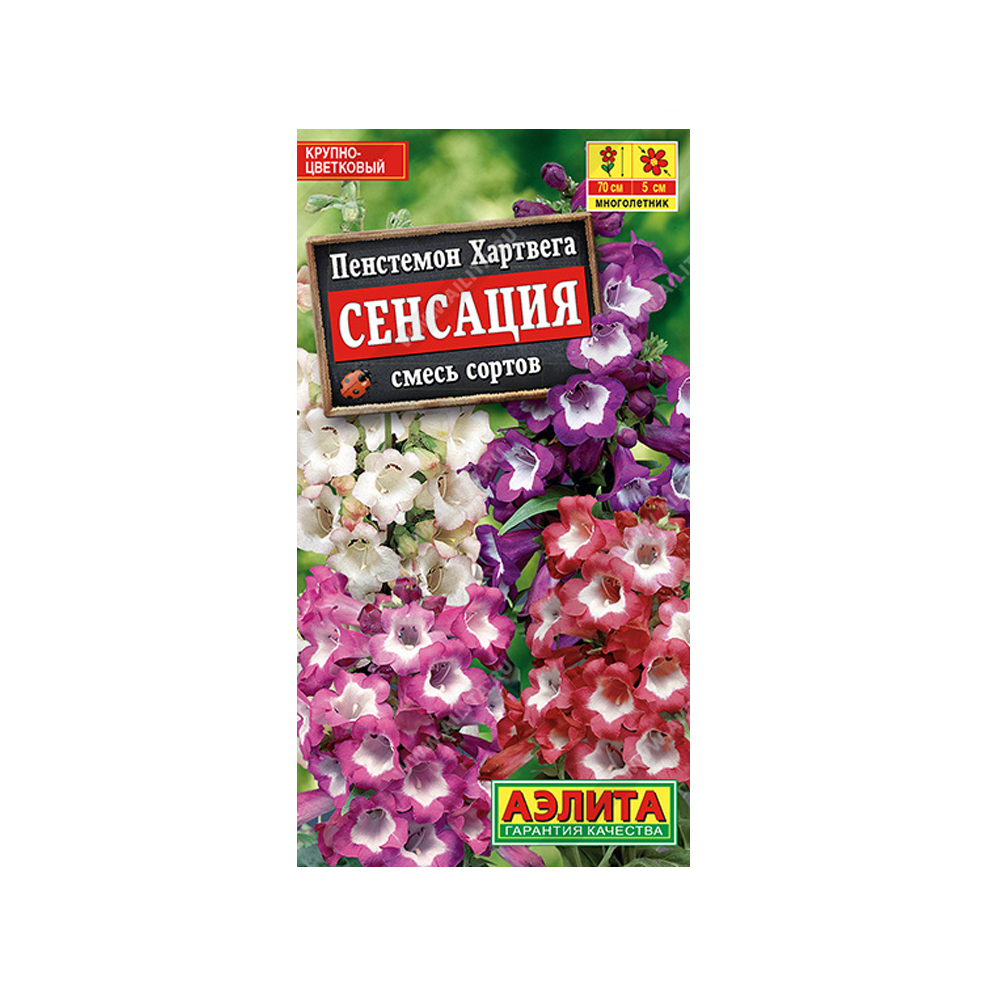 Пенстемон Сенсация смесь (Аэлита)