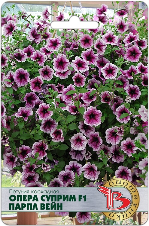 Петуния - опера суприм парпл вейн (био)