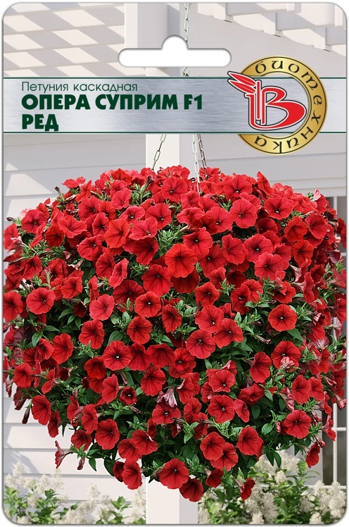 Петуния - Опера суприм ред (био)