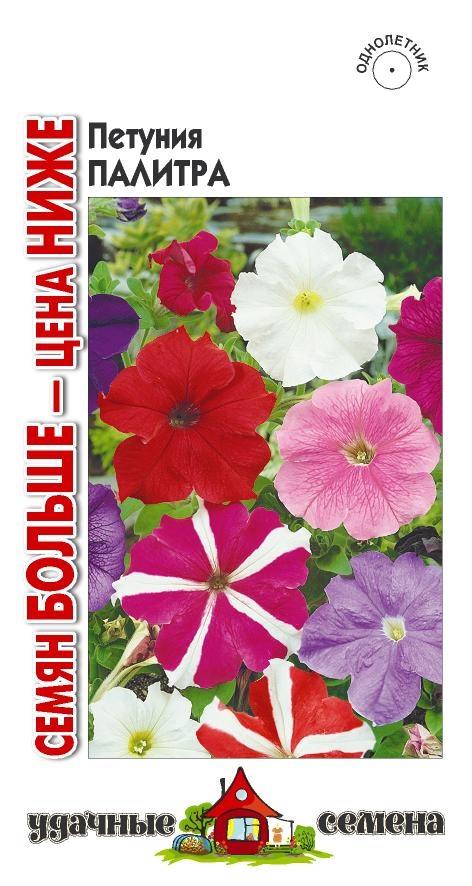 Петуния - Палитра (гавриш)