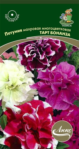 Петуния - Тарт бонанза (поиск)
