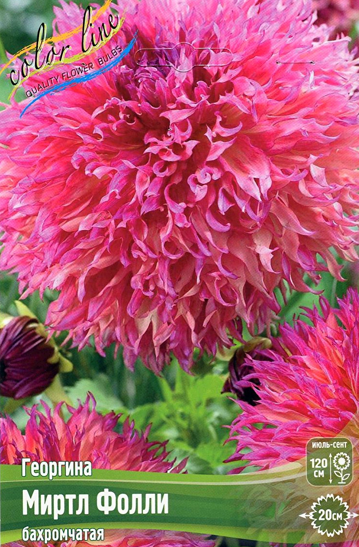 pf41h2tbdrlfvs2ac087uh6jb3evhkgt