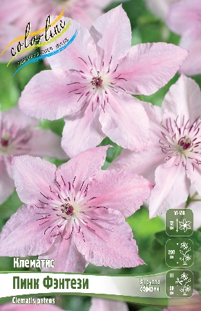 пинк фентезиtgmmqjnatp4wm4142vf8uyaxft2azc29